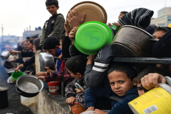 🥬 سلة الخضار… حياة تُعاد لعائلة نازحة في غزة